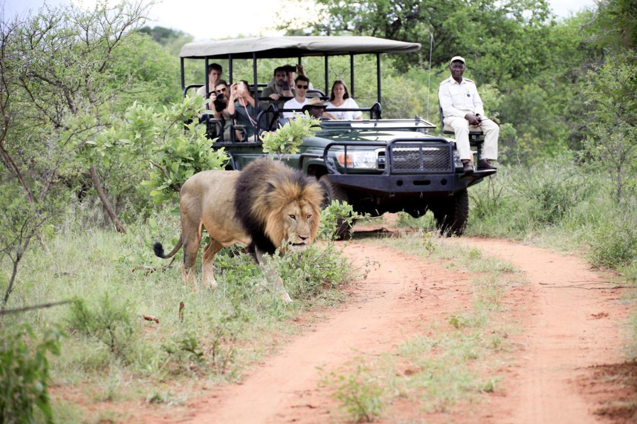 Karongwe Portfolio - Kuname Lodge Karongwe Game Reserve Eksteriør billede