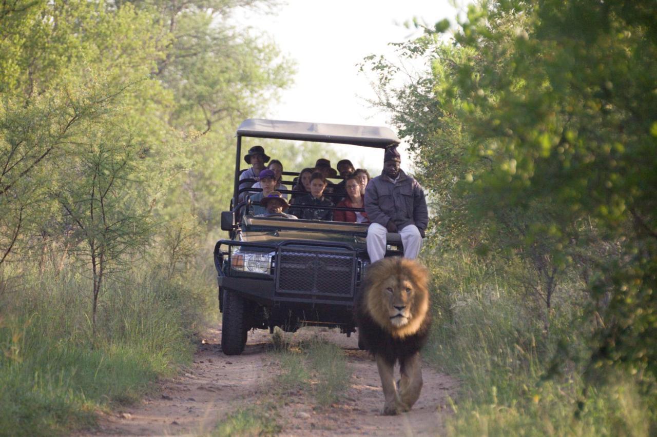 Karongwe Portfolio - Kuname Lodge Karongwe Game Reserve Eksteriør billede