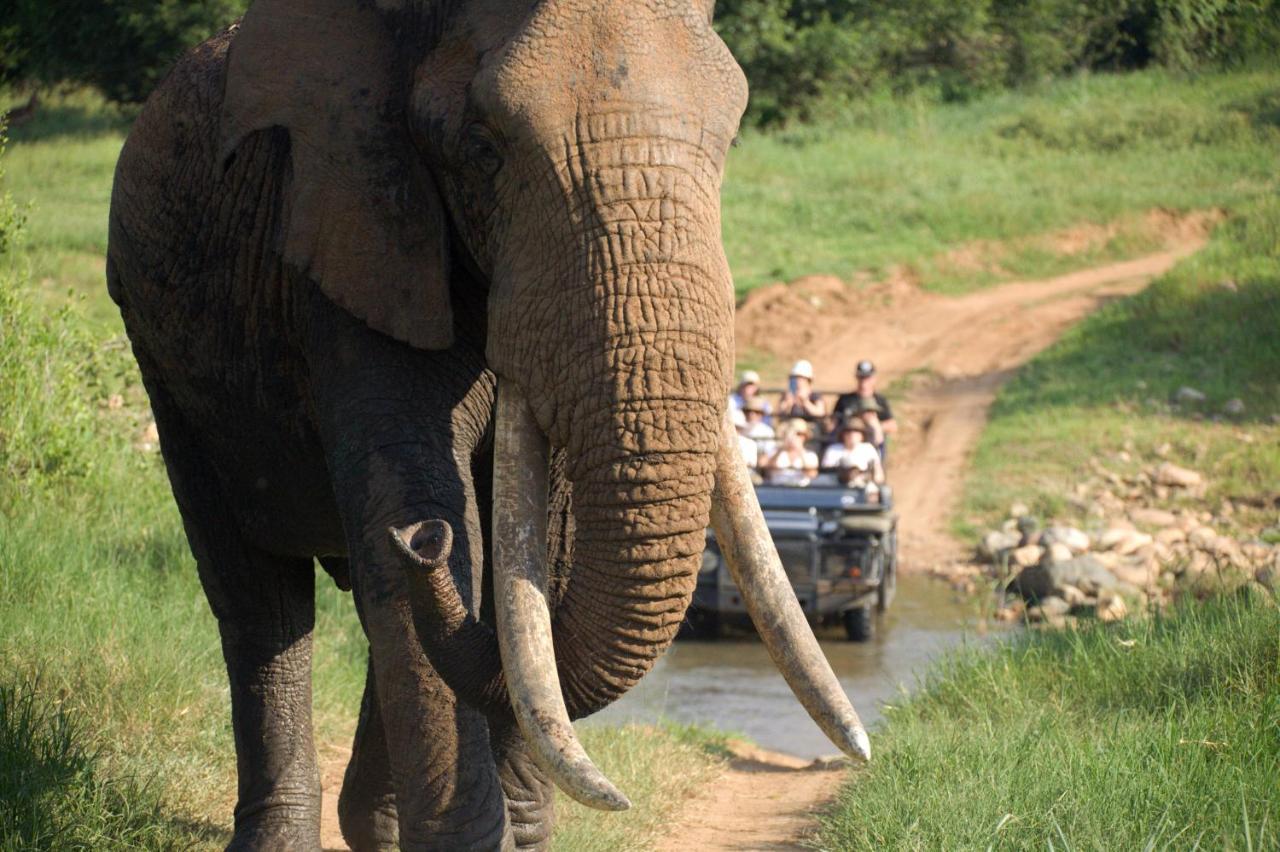 Karongwe Portfolio - Kuname Lodge Karongwe Game Reserve Eksteriør billede