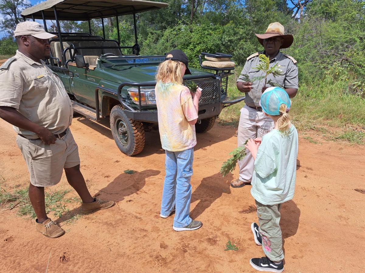 Karongwe Portfolio - Kuname Lodge Karongwe Game Reserve Eksteriør billede